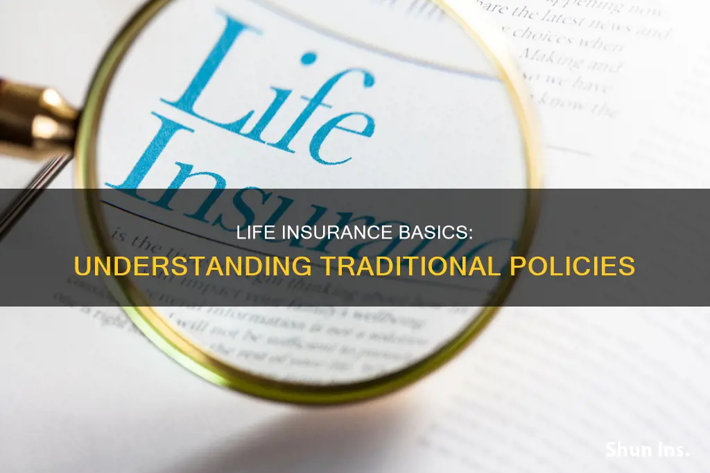 what is traditional life insurance