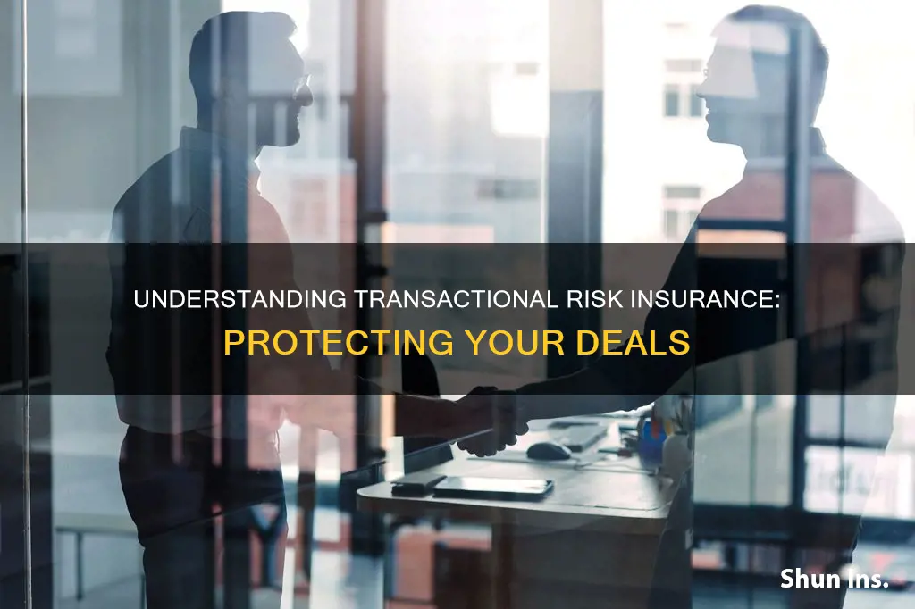 what is transactional risk insurance