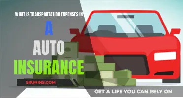 Transportation Expenses: Auto Insurance Coverage Explained