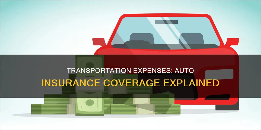 what is transportation expenses in a auto insurance