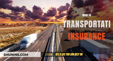 Understanding Transportation Insurance: Coverage, Benefits, and Essential Protection Tips