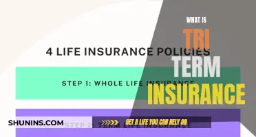 Understanding Triterm Insurance: The Trifecta of Coverage