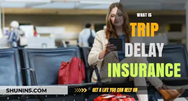 Understanding Trip Delay Insurance: Coverage, Benefits, and How It Works