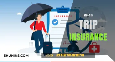 Trip Insurance: What You Need to Know