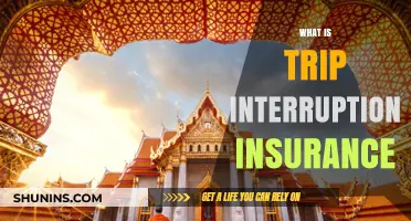 Understanding Trip Interruption Insurance: Coverage, Benefits, and When to Use It