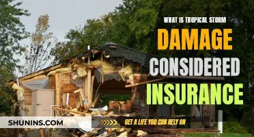 Tropical Storm Damage: Is Your Property Insured?