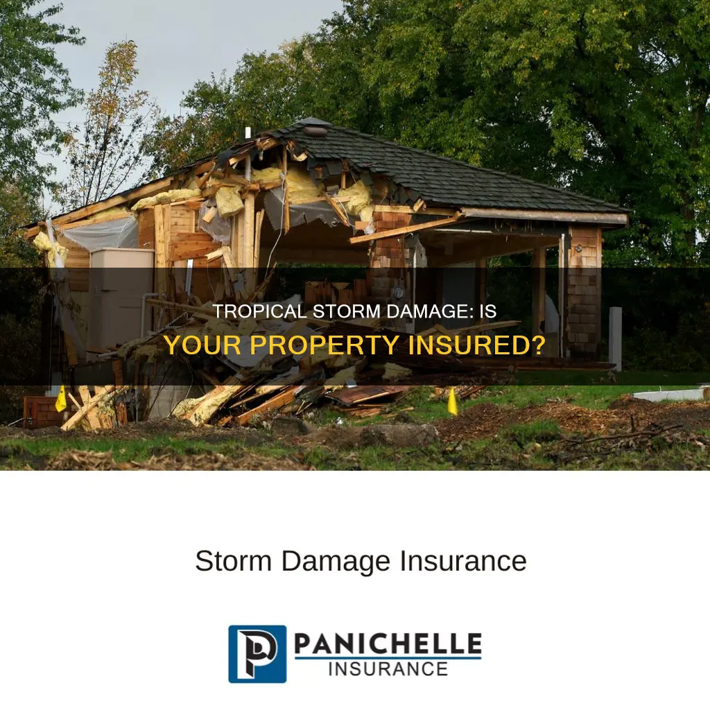 what is tropical storm damage considered insurance