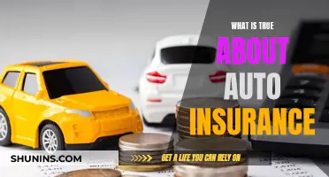 Auto Insurance: What You Need to Know