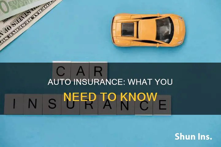 what is true about auto insurance