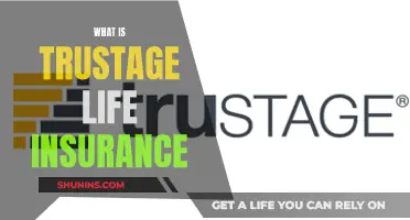 Unraveling Trustage Life Insurance: A Comprehensive Guide to Understanding Your Coverage