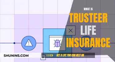 Unraveling Trusteer Life Insurance: A Comprehensive Guide