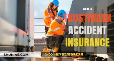 Trustmark Accident Insurance: Comprehensive Coverage and Benefits