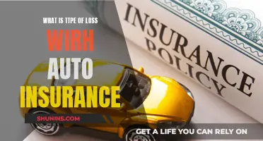 Understanding Auto Insurance Loss Types and Their Impact