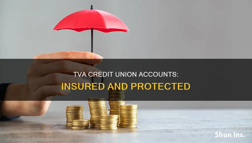 what is tva credit union accounts insured for