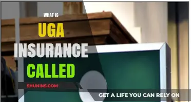 Understanding UGA Insurance: What You Need to Know