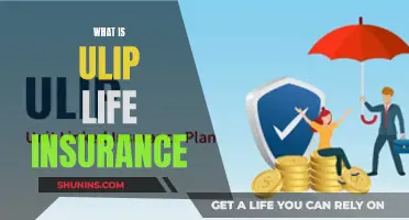 Understanding ULIP: A Comprehensive Guide to Life Insurance