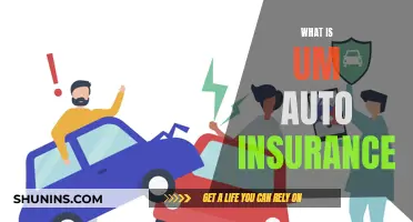 Understanding UM Auto Insurance: What You Need to Know