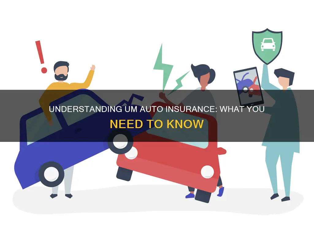 what is um auto insurance