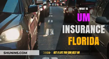 UM Insurance Florida: What You Need to Know