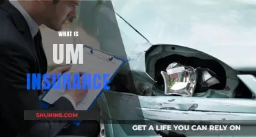 UM Insurance: What It Is and Why You Need It
