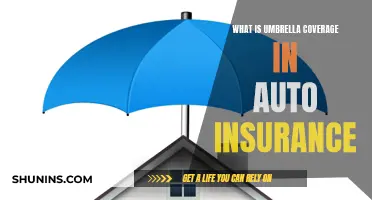 Umbrella Coverage: Auto Insurance's Extra Protection Explained