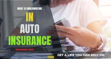 Understanding Auto Insurance Underwriting: How It Affects Your Premiums