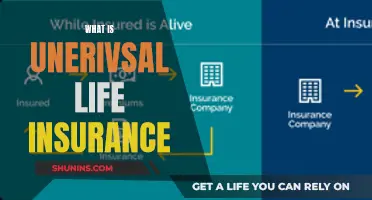 Understanding Unconventional Life Insurance: A Comprehensive Guide