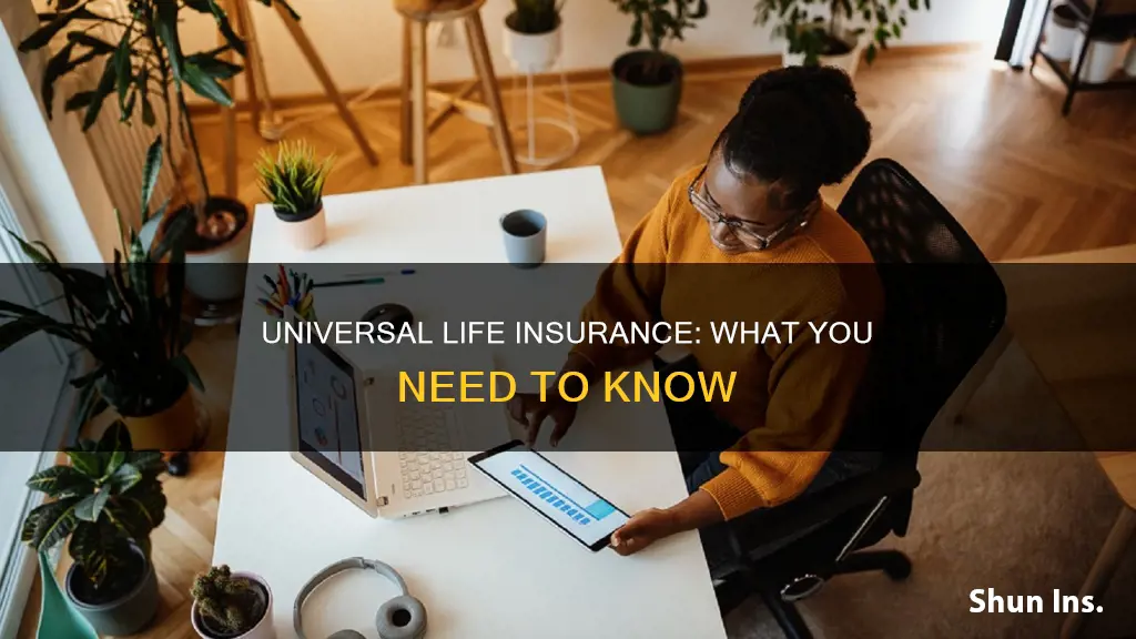 what is unerivsal life insurance