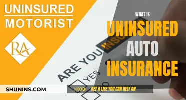 Uninsured Auto Insurance: What You Need to Know