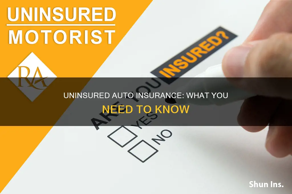 what is uninsured auto insurance