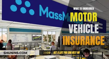 Uninsured Motor Vehicle Insurance: What's Covered?