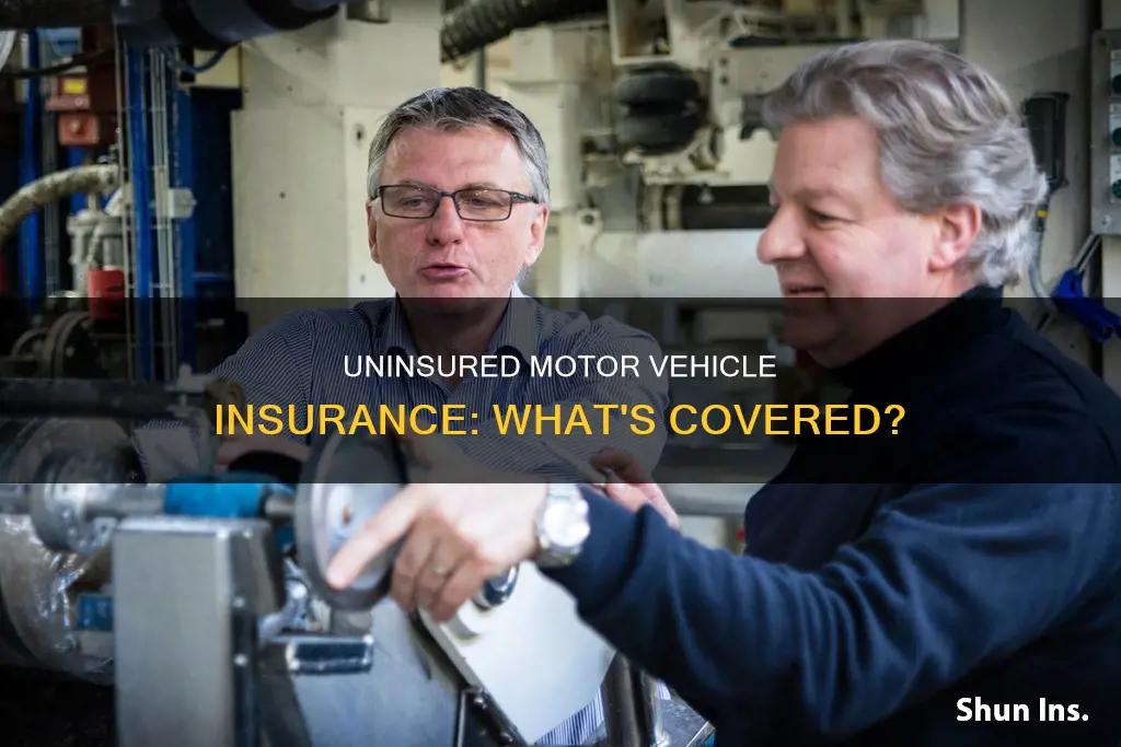 what is uninsured motor vehicle insurance