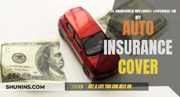 Uninsured Motorist Coverage: What Does Auto Insurance Include?