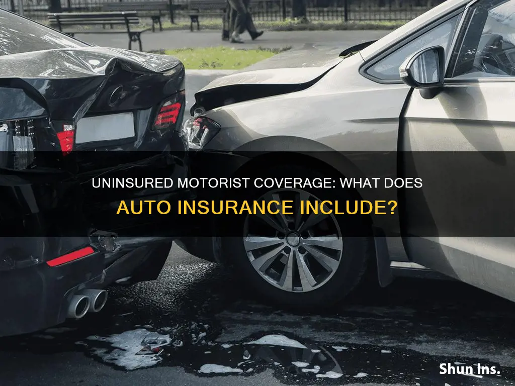 what is uninsured motorist coverage on my auto insurance cover