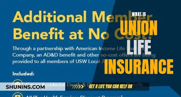 Understanding Union Life Insurance: A Comprehensive Guide