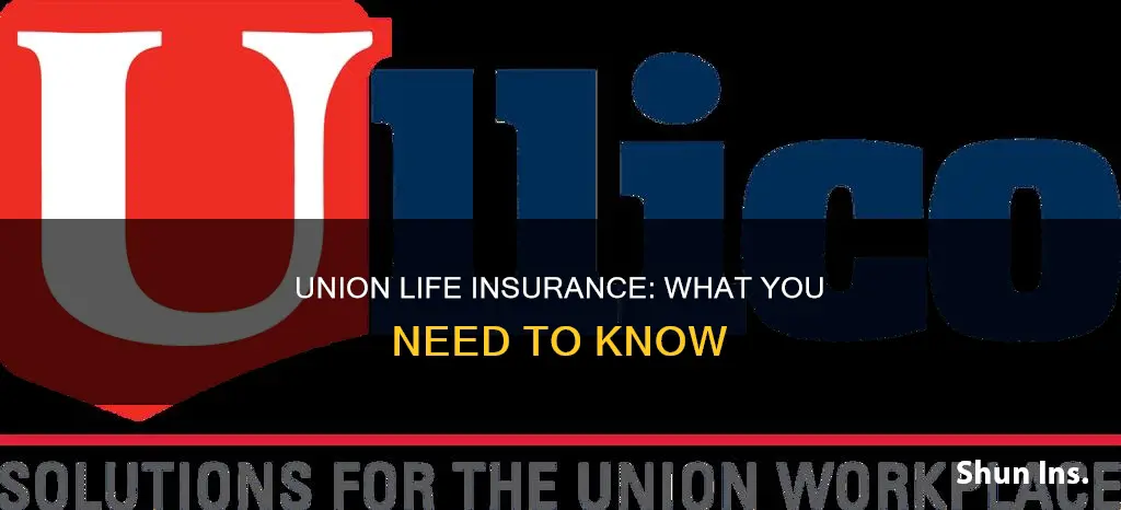 what is union life insurance