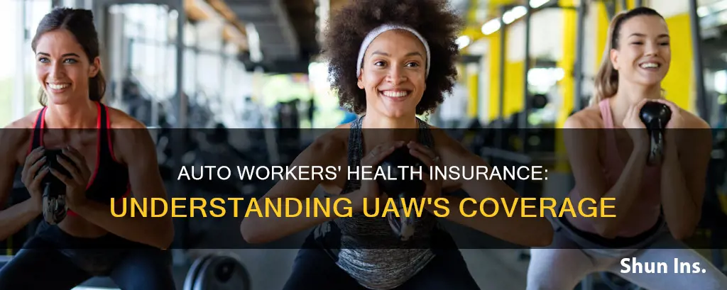 what is united auto workers health insurance