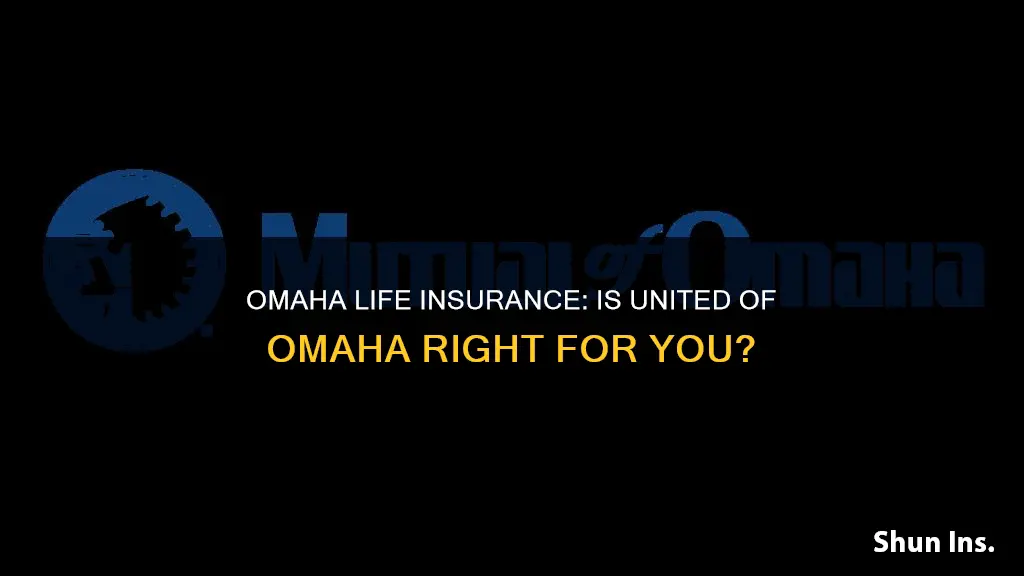 what is united of omaha life insurance