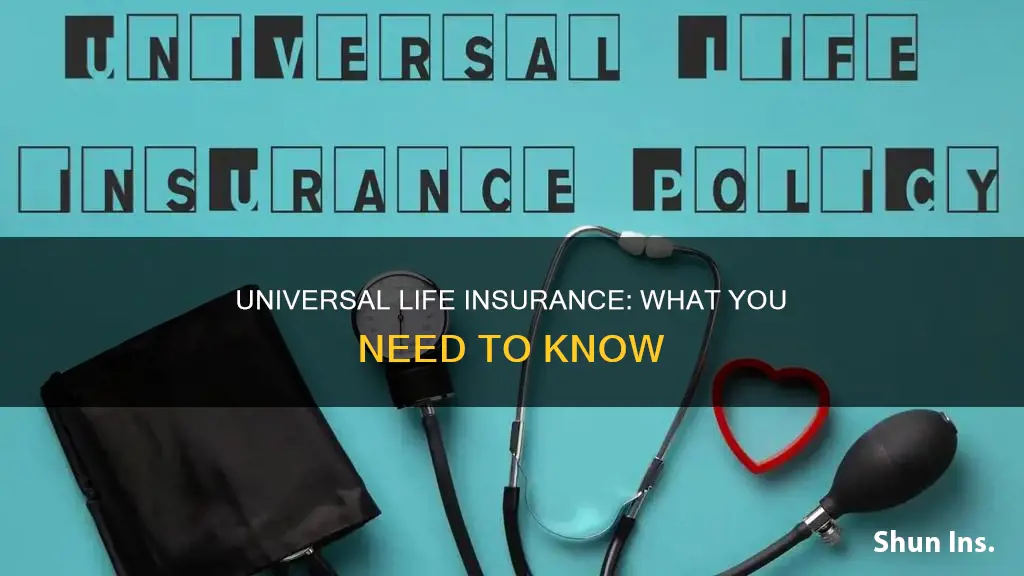 what is univeral life insurance