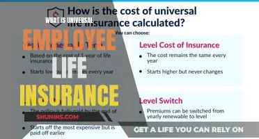 Understanding Universal Employee Life Insurance: A Comprehensive Guide