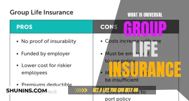 Understanding Universal Group Life Insurance: A Comprehensive Guide