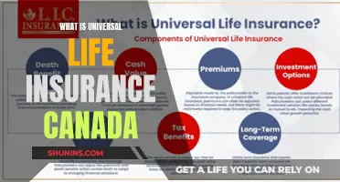 Understanding Universal Life Insurance: A Comprehensive Guide for Canadians