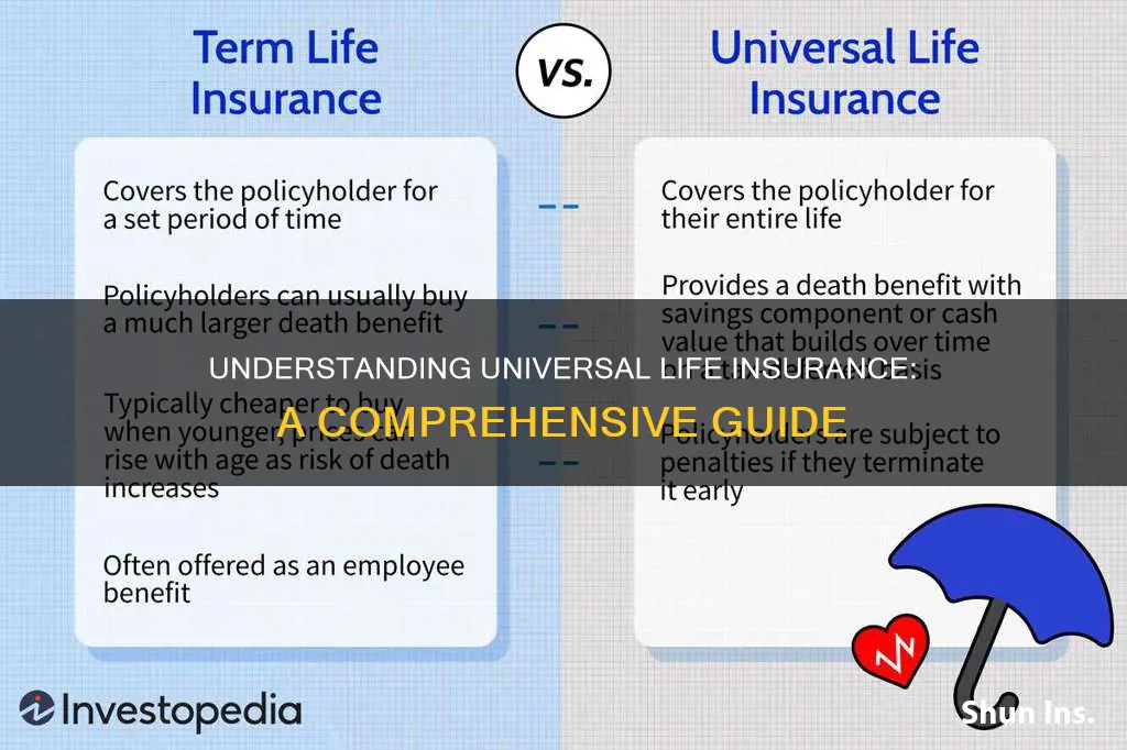 what is univetsal life insurance