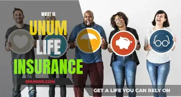 Unum Life Insurance: What You Need to Know