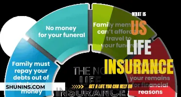 Understanding US Life Insurance: A Comprehensive Guide