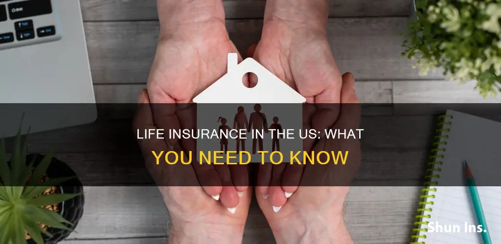 what is us life insurance