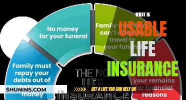 Understanding Usable Life Insurance: A Comprehensive Guide