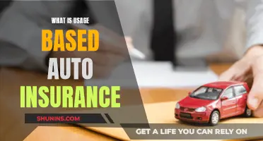 Understanding Usage-Based Auto Insurance and Its Benefits