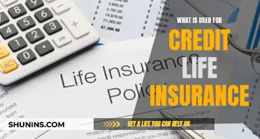 Understanding Credit Life Insurance: What It Covers and Why It Matters