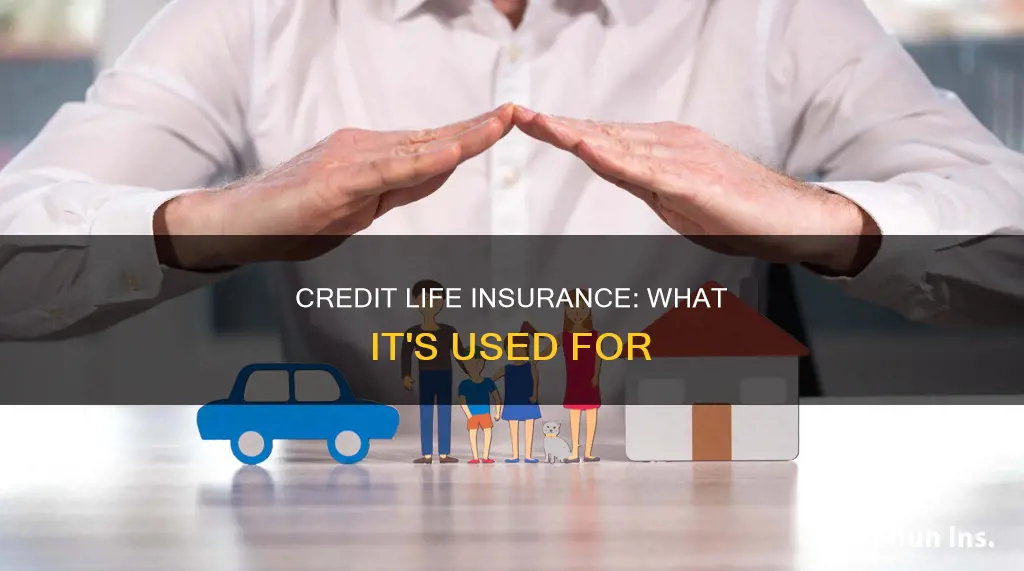 what is used for credit life insurance